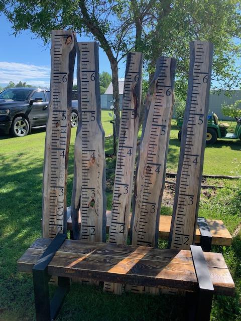 Reclaimed wood growth charts 6' tall with script writing